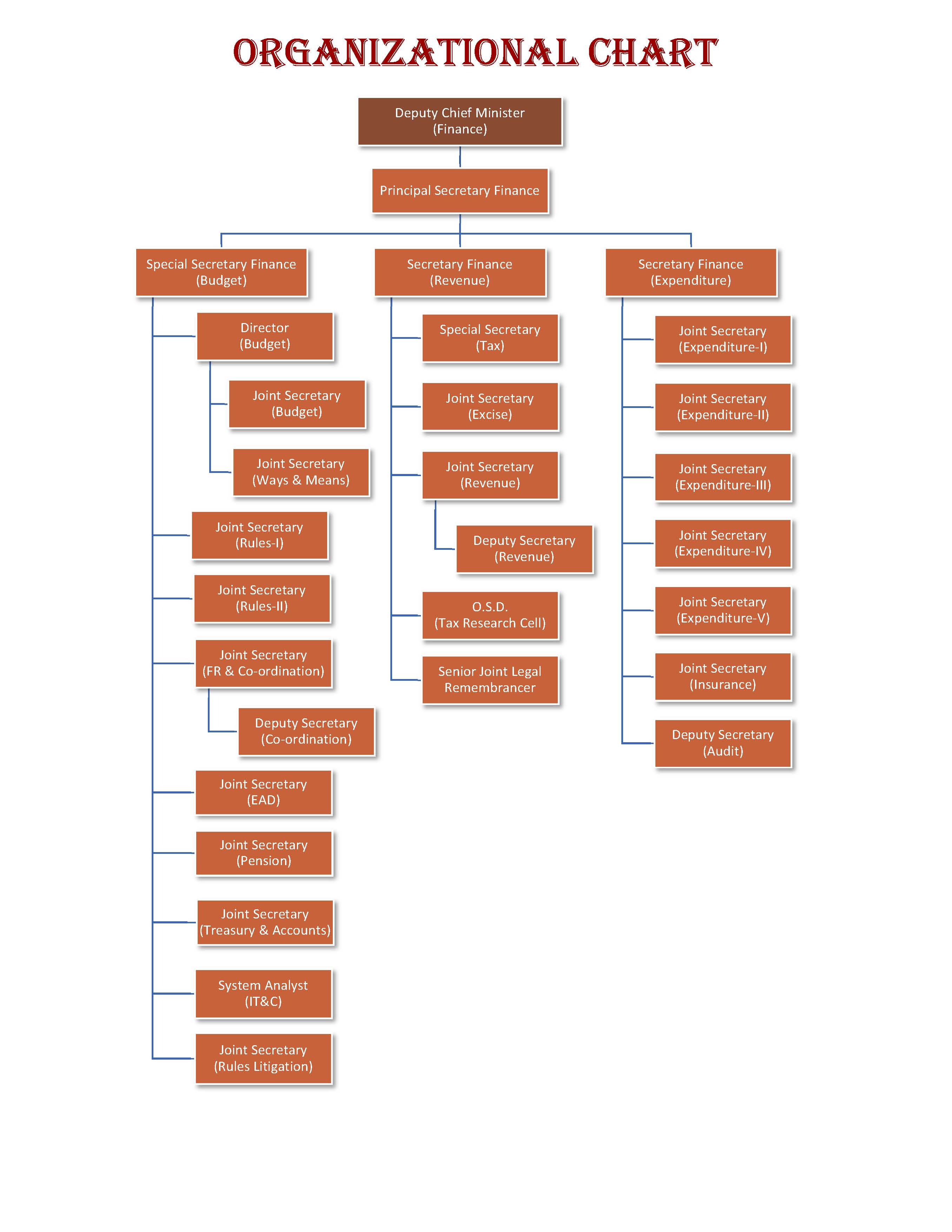 Organisational Chart (संगठनात्मक ढांचा)